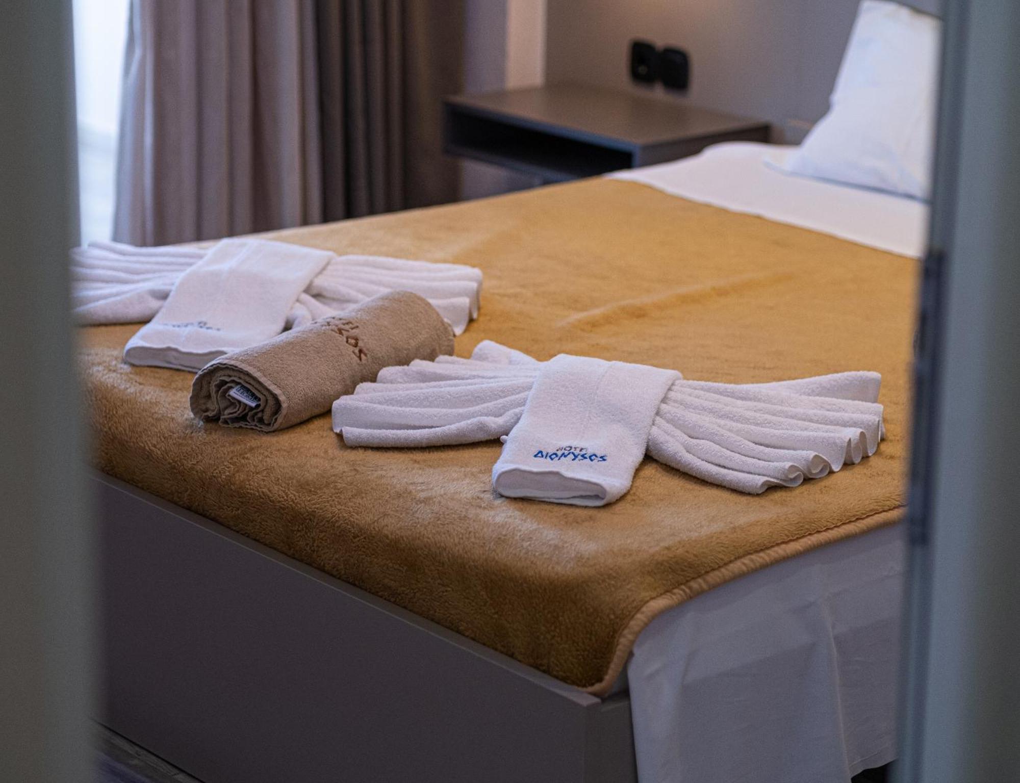 Hotel Dionysos Polichrono Πολύχρονο Εξωτερικό φωτογραφία